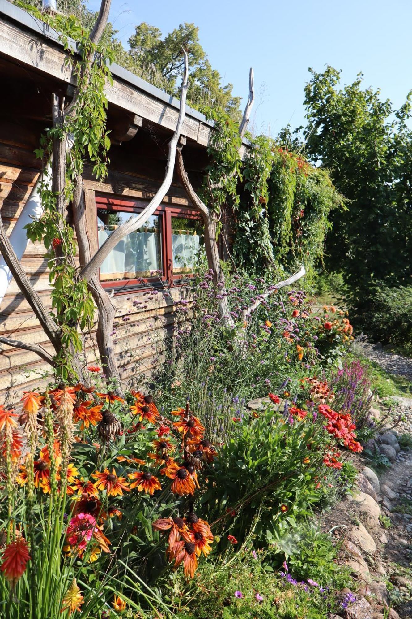 Blockhaus Zahren Villa Penzlin Екстериор снимка